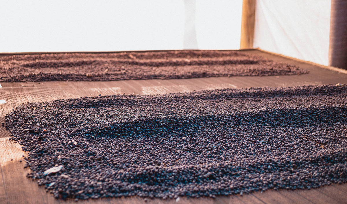 rohkaffee-phoenic-coffee-roasters-kaffee-rösten