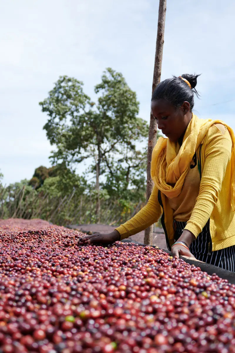 esayas-boku-natural-specialty-coffee