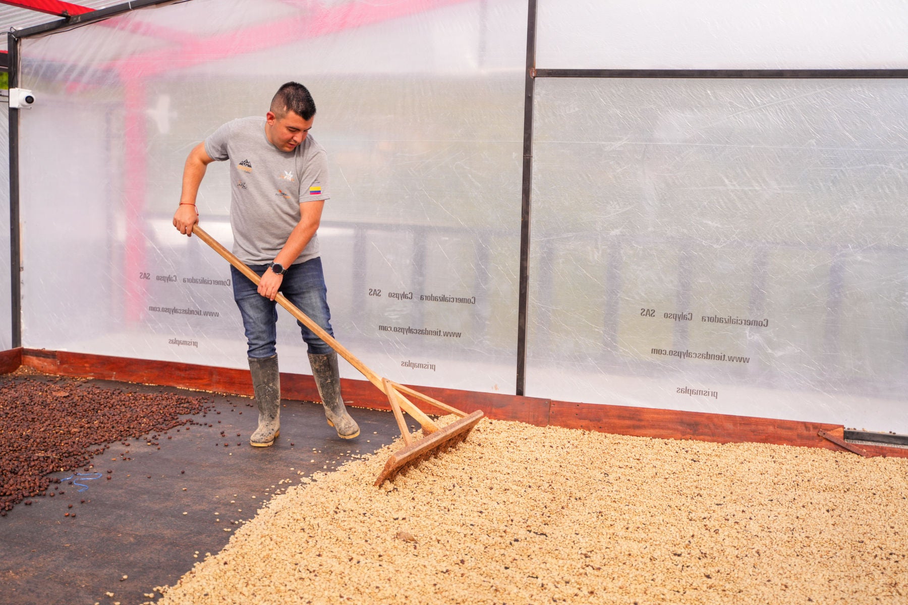specialty-coffee-finca-las-flores